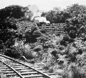 SHAY GEARED LOCOMOTIVE ROUNDING HORSE-SHOE CURVE OF 164 FEET RADIUS AND RISING 1 IN 20 UPON THE MOUNT ARISAN RAILWAY, FORMOSA
