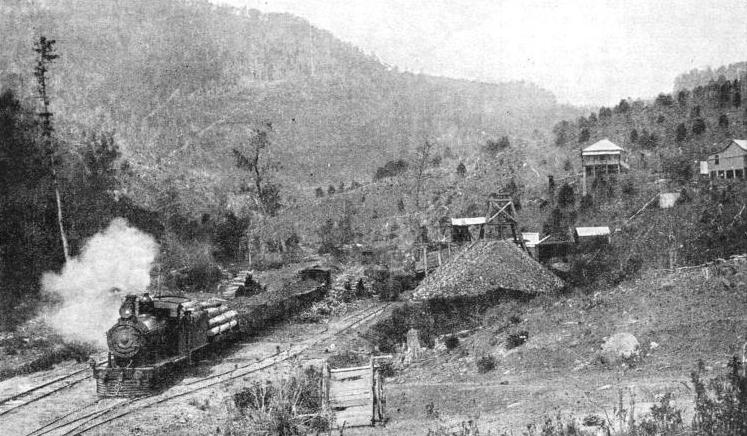 A COAL TRAIN at the Tannymorel coal mines on the Killarney branch of the main Queensland railway system
