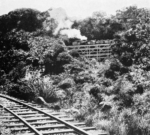 SHAY GEARED LOCOMOTIVE ROUNDING HORSE-SHOE CURVE OF 164 FEET RADIUS AND RISING 1 IN 20 UPON THE MOUNT ARISAN RAILWAY, FORMOSA