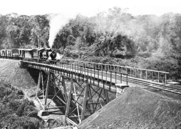 A GLIMPSE OF THE UGANDA JUNGLE PENETRATED BY THE RAILWAY