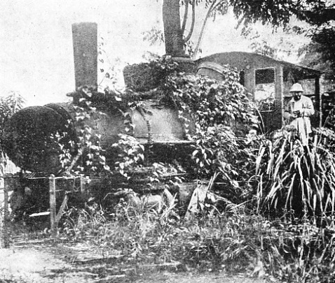 An abandoned locomotive in Dutch Guiana