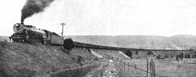 A “D57” type goods locomotive in New South Wales hauling a giant freight train