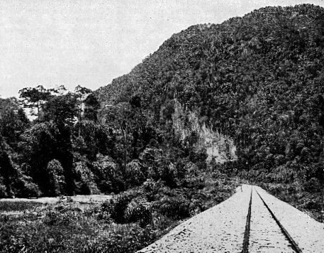 THE SAKAI CAUSEWAY, which carries the railway across a swamp between Merapoh and Gua Musang