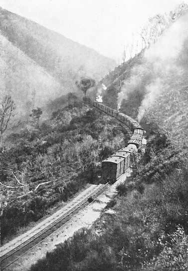 THE FELL CENTRE-RAIL IN NEW ZEALAND