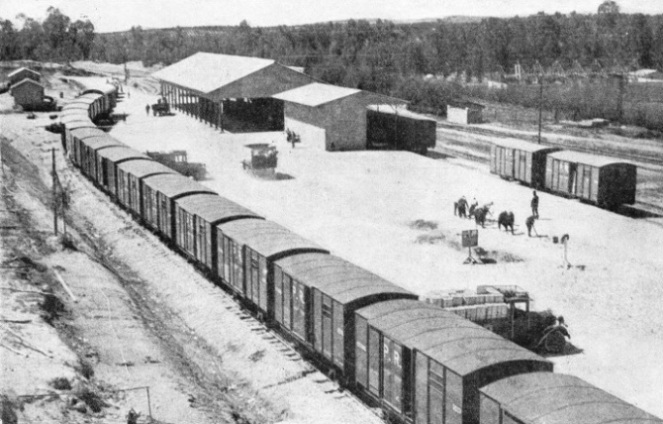 Orange wagons on a siding at Rehovot Station